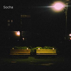Socha