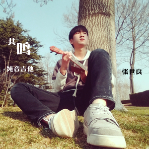 我在那一角落患过伤风（步步高音乐手机）