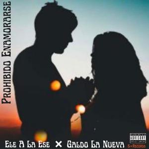 Prohibido Enamorarse
