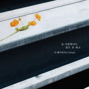 널 사랑한다는 말도 못하고