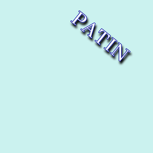 PATIN