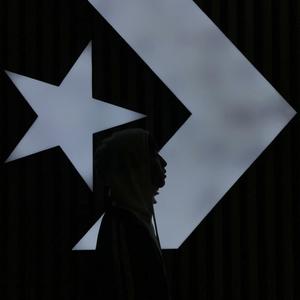 殉情的抹香鲸