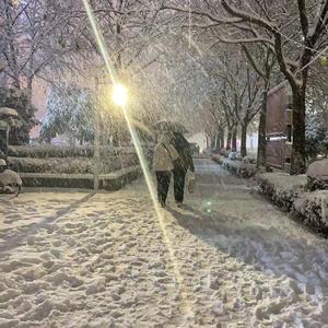 你要结婚了+PlainJain