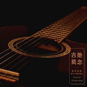 回答 (吉他指弹)