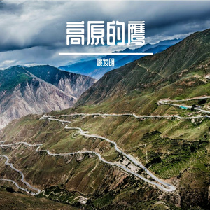 高原的鹰