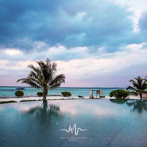 水中捞月 (钢琴安眠曲)