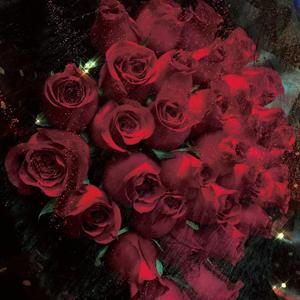 李佳隆-Berry（boring remix）