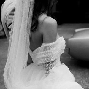 Normal (小提琴版)