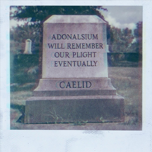 Adonalsium Will Remember Our Plight Eventually