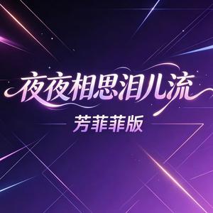 夜夜相思泪儿流（即使知道要见面）(DJ版)