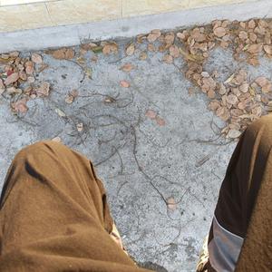 落叶(Prod.by牙刷&顺赢INKA）