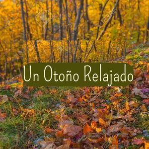 ゆったりとした秋