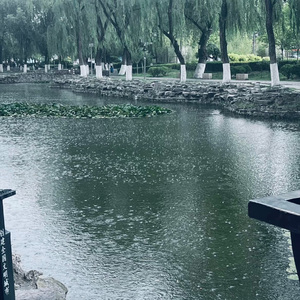 草元的幽谧之梦
