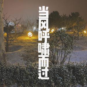 当风呼啸而过
