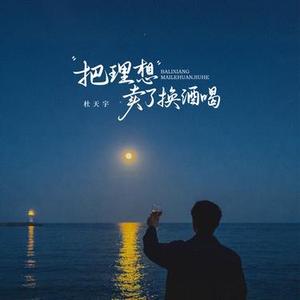 把理想卖了换酒喝