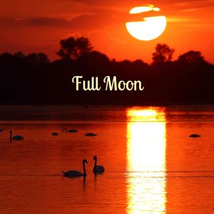 I Miss Her Best Friend