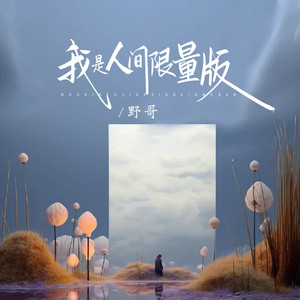 我是人间限量版 (DJ波比夜店版)