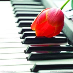 空白格（翻自蔡健雅）