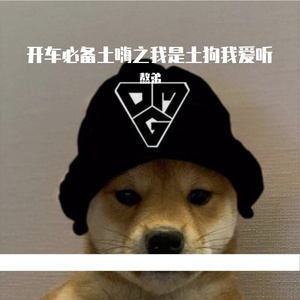 阿涛-特别的爱（DJ）（熬弟 remix）