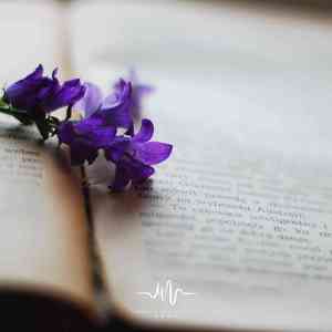 许下愿望 (吉他)