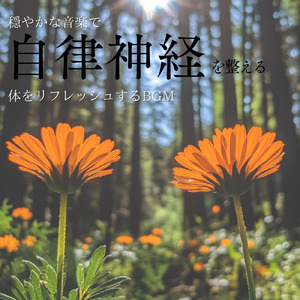 音楽療法のハーモニーで整う夜