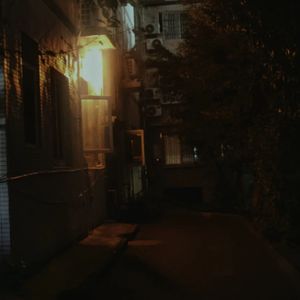 一首没有攻击性的歌（feat.红树_RedTree）