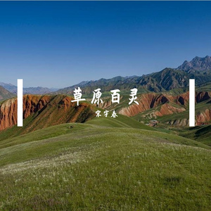 草原百灵（张美）