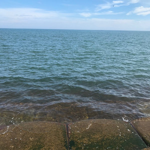 何かになろうとして