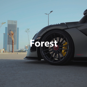 【FREE】"Forest" - Tyga x Offset Type Beat