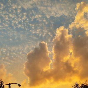 Sunnyxi-flower dance(雨声）（日月予辉 remix）