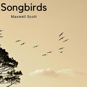 Songbirds