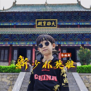 新少林英雄