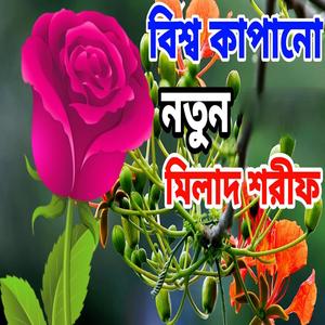 বিশ্বকাপানো বাংলা নতুন মিলাদ শরীফ,Milad sharif