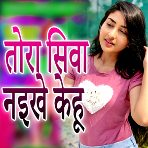 Tora Siba Naikhe Kehu