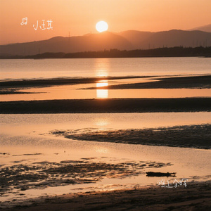 滩上余晖