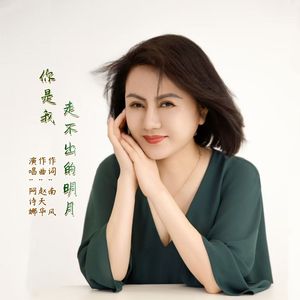 你是我走不出的明月