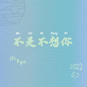 不是不想你
