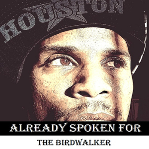 The Birdwalker (Intro)