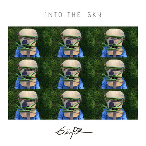 Into the Sky