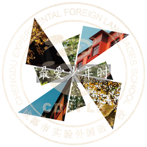 最爱少年时(成都实外高2018届留念) 伴奏版