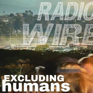 Radio Wire