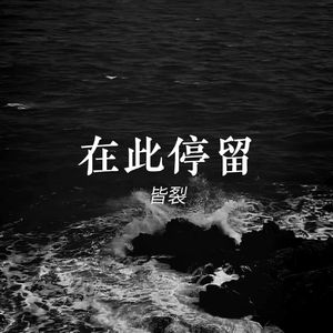 在此停留