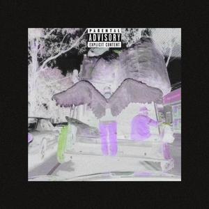 XANXUS.CC-苍蝇人（安璞 / HD-crew remix）