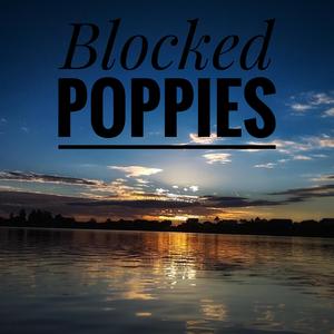 Blocked Poppie