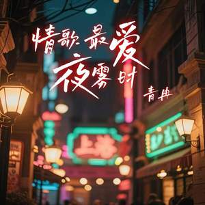 情歌最爱夜雾时 (DJ浩然版)