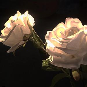 独行侠＋爱如潮水＋他