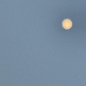 只想与你浪费时间