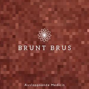 Brunt Brus för Brusreducering