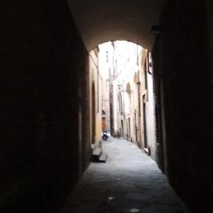 Не хотят депутаты на фронт!