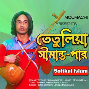 Tetulia Shimanto Par